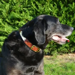 Collier à graver sur plaque laiton cuir noisette 4 tailles* Online