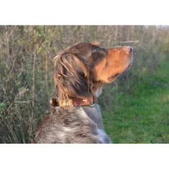 Collier à graver sur plaque laiton cuir noisette 4 tailles* Online