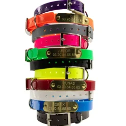 Collier à graver sur plaque BIOGOLD petit chien et chiot 11 couleurs* Clearance