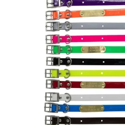 Collier à graver sur plaque BIOGOLD petit chien et chiot 11 couleurs* Clearance