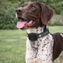 Collier anti-fugue 480 m DE 10 taille ajustable noir USB* Hot