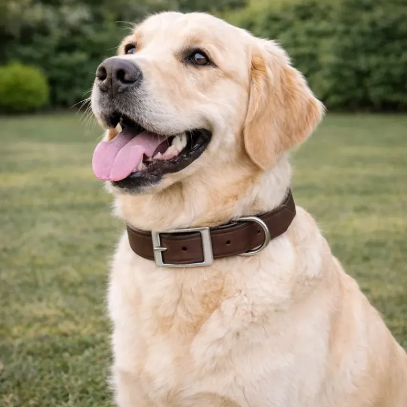 Collier cuir de buffle marron S/M 45 cm*Stepland Clearance