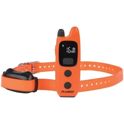 Collier de dressage 600 m étanche et rechargeable*PROHUNT Online