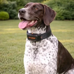 Collier de dressage supplémentaire 1000 m noir IPX7*PROHUNT