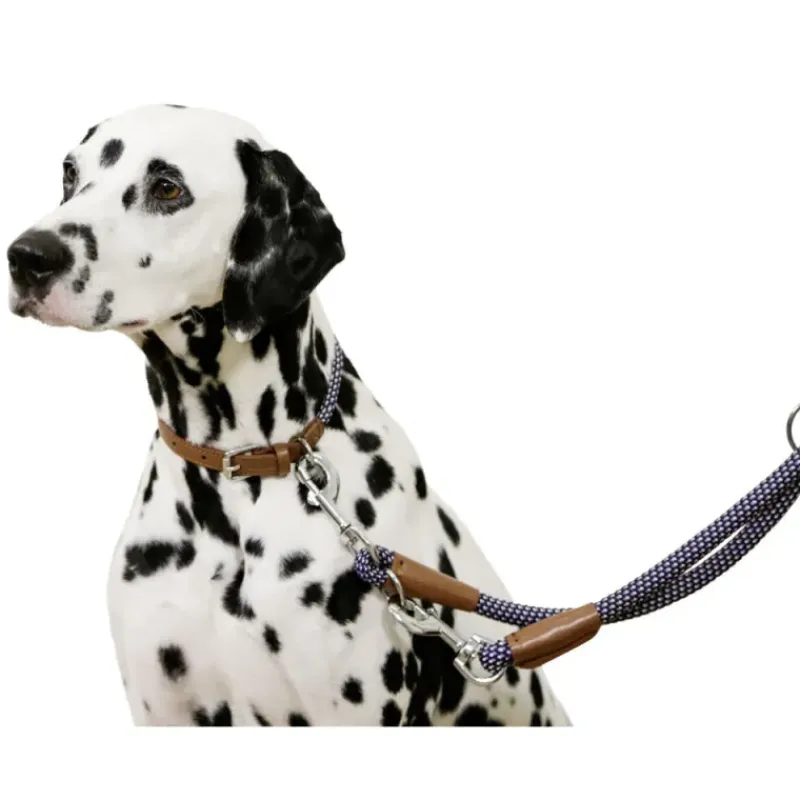 Collier pour chien en corde 30 - 40 cm* Sale