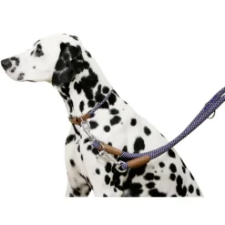 Collier pour chien en corde 40 - 55 cm*