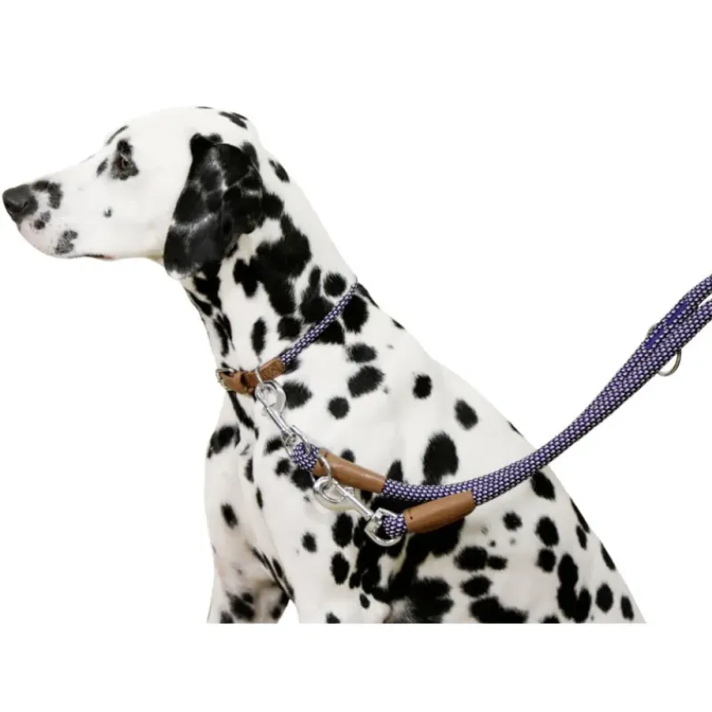 Collier pour chien en corde 40 - 55 cm*