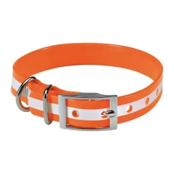 Collier pour chien orange phosphorescent 45 cm*Stepland