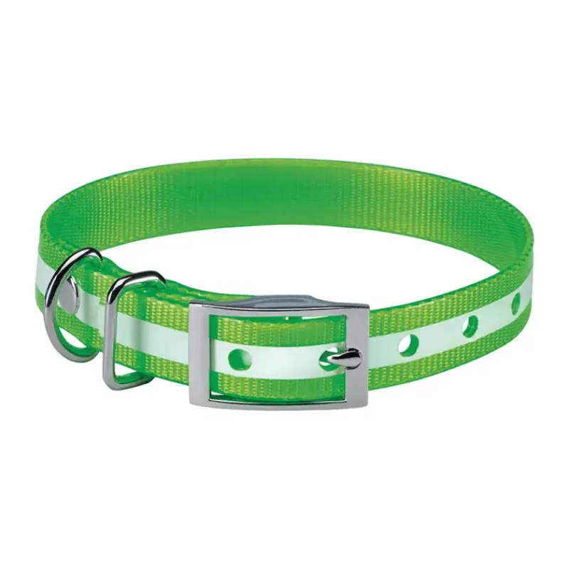 Collier pour chien vert phosphorescent 45 cm*Stepland Hot
