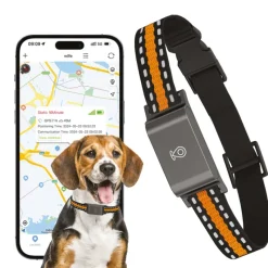 Collier traceur GPS 4G pour animaux - IP65 - Application gratuite* Sale