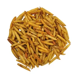 Complément alimentaire larves Soufflées 10 Litres Hermetia Illucens* Hot