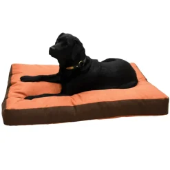 Coussin chien Hunter 55 x 40 x 12 cm.*