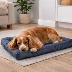 Coussin Matelas Imperméable Bleu 91x60x20cm Antidérapant* Hot