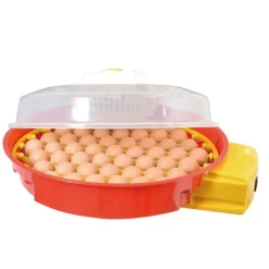 Couveuse automatique DUCAT 51 oeufs Puisor IO-014* Outlet