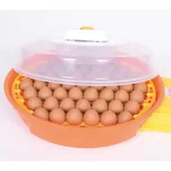 Couveuse automatique DUCAT 51 oeufs Puisor IO-014* Outlet