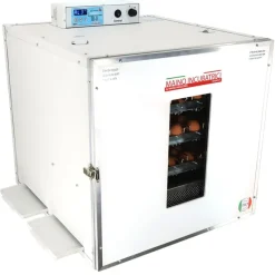 Couveuse automatique Mini Pro 147 Digitale*MAINO Hot