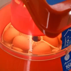 Couveuse automatique Covatutto 16L Pro*Novital Outlet