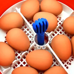 Couveuse automatique Covatutto 16L Pro*Novital Outlet