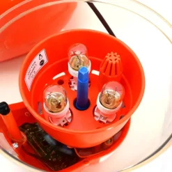 Couveuse automatique Covatutto 16L Pro*Novital Outlet