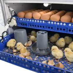 Couveuse Automatique PRO ® 136 Œufs - Incubation Haute Performance*Couvitech Best