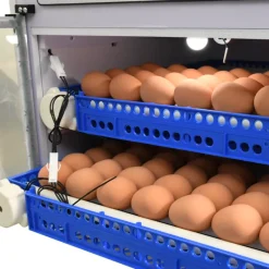 Couveuse Automatique PRO ® 136 Œufs - Incubation Haute Performance*Couvitech Best