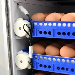 Couveuse Automatique PRO ® 272 œufs - Incubation Haute Performance*Couvitech Sale