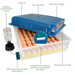 Couveuse automatique SP ® 64 œufs - Incubation professionnelle*Couvitech Sale