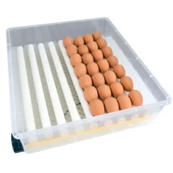 Couveuse automatique SP ® 64 œufs - Incubation professionnelle*Couvitech Sale