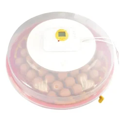 Couveuse semi automatique 51 oeufs( Puisor IO-103 TH)* Online