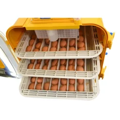 Couveuse semi-automatique Covatutto 162*Novital Hot