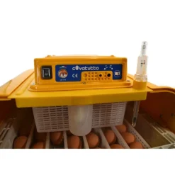 Couveuse semi-automatique Covatutto 162*Novital Hot