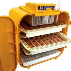 Couveuse semi-automatique Covatutto 108*Novital Outlet