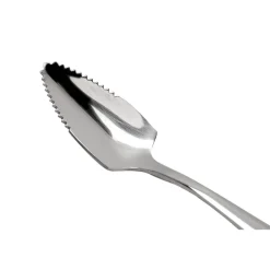 Cuillères à pamplemousse Acier inoxydable x2*Pradel France Discount