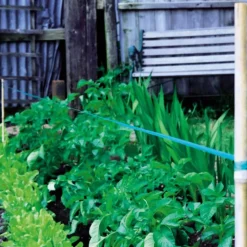 Effaroucheur 30 mètres ruban sifflant* Clearance