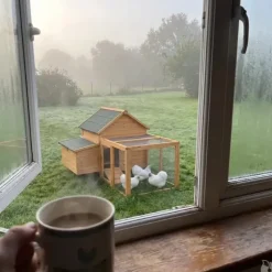 Enclos pour poulailler confort 80 X 75 X 60 cm*Ducatillon Discount