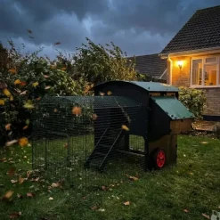 Enclos standard 2m pour poulailler surélevé 8 à 15 poules* Hot