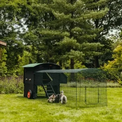 Extension de 1m pour enclos 2 m poulailler surélevé 8-15 poules* New