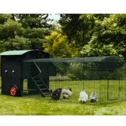 Extension de 1m pour enclos 2 m poulailler surélevé 8-15 poules* New