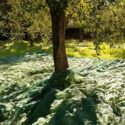 Filet de Récolte 6x6m - Maille 5x5mm en Polyéthylène Haute Densité* Best