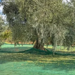 Filet de Récolte 6x6m - Maille 5x5mm en Polyéthylène Haute Densité* Best