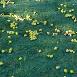 Filet de récolte 4x4m - Maille 5x5mm en polyéthylène haute densité* Online