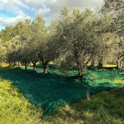 Filet de récolte 4x4m - Maille 5x5mm en polyéthylène haute densité* Online