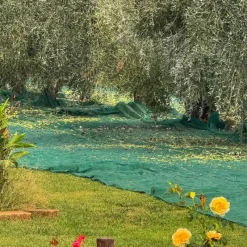 Filet de récolte 8x8m à maille fine 5x5mm - Polyéthylène haute densité* Sale