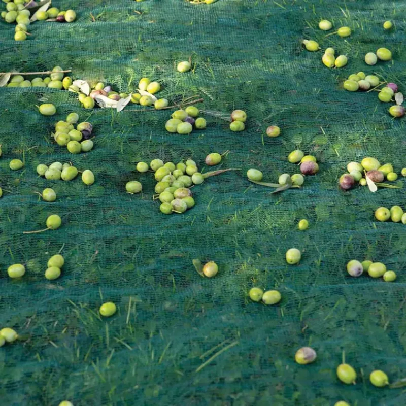 Filet de récolte 8x8m à maille fine 5x5mm - Polyéthylène haute densité* Sale