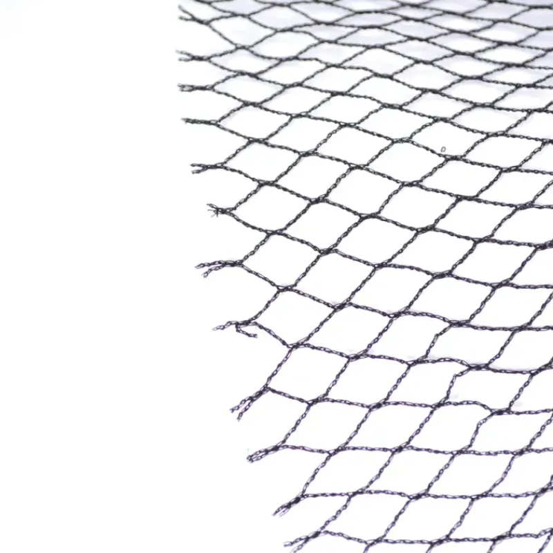 Filet de volière maille 15 mm – 10 x 5 m* Outlet