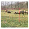 Filet électrifiable mouton 0,90 m*Kerbl Sale