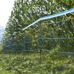 Filet protection électrifiable Sanglier*Kerbl Clearance