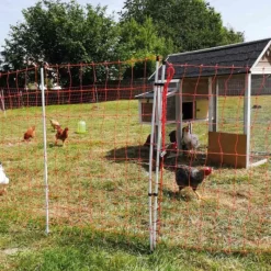 Filet volaille orange H110 cm Longueur 25m avec porte* Hot