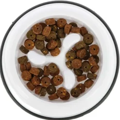 Gamelle plastique Anti glouton*