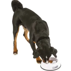 Gamelle plastique Anti glouton*